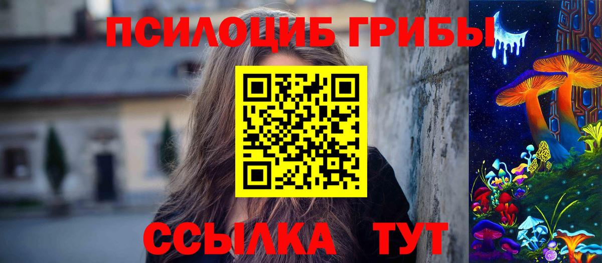 Псилоцибиновые грибы Psilocybine cubensis  Вход с VPN  где можно купить наркотик  Псилоцибиновые грибы GOLDEN TEACHER  Ковров 