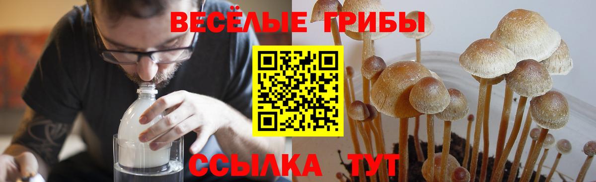 Галлюциногенные грибы ЛСД Ковров